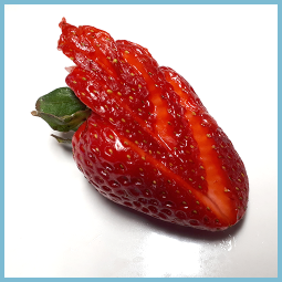Une fraise découpée en forme d’éventail. 