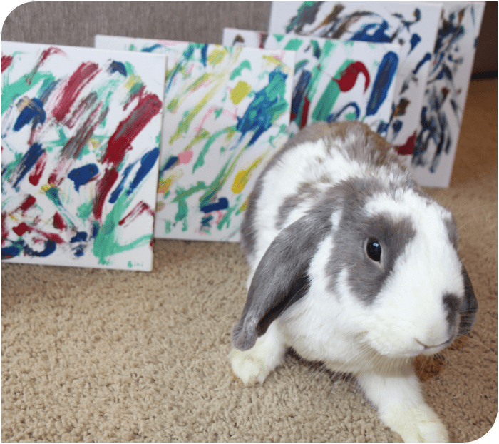 Photo d’un lapin posé à côté de quelques petites toiles. 