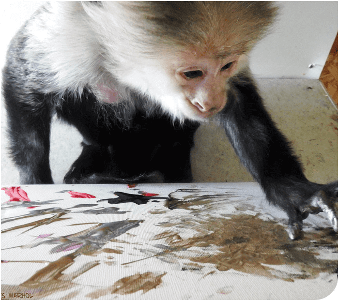 Photo d’un singe en train de peindre. 
