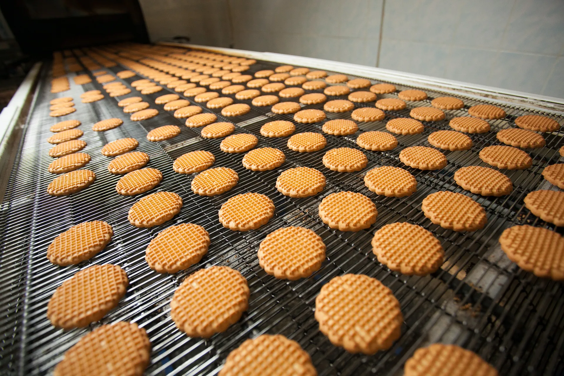 Photographie de biscuits prêts à être mis au four.