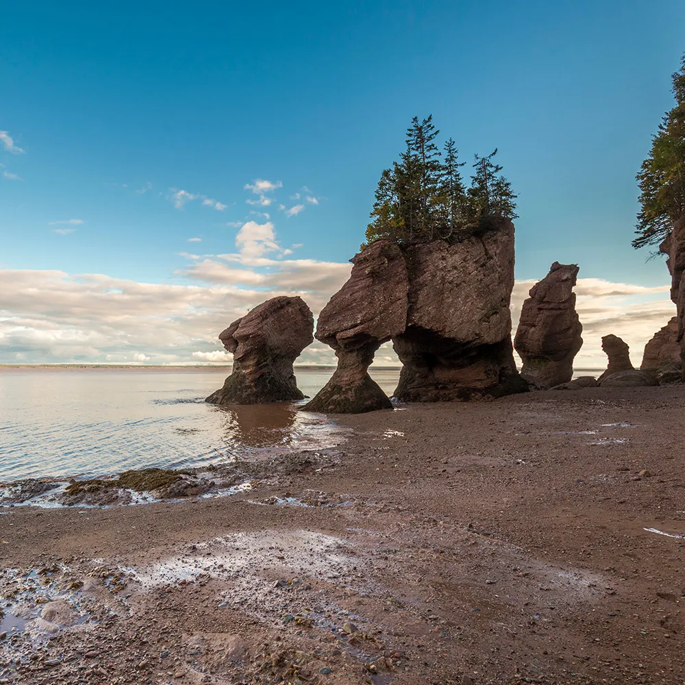 Photo des rochers Hopewell à marée basse.