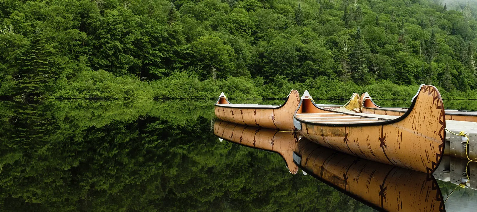 Photo de rabaskas, de grands canots d’écorce flottant sur un lac.
