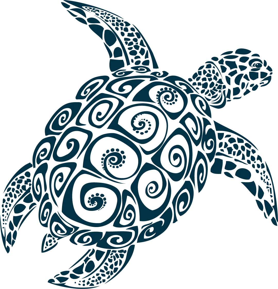 Dessin d’une tortue marine. Sa carapace est décorée de motifs en spirale.