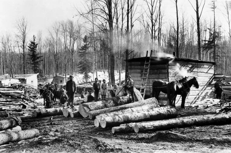 hoto en noir et blanc de femmes et d’hommes sur une terre en train d’être défrichée en hiver. Il y a de petites cabanes en bois, des chevaux, et des billes de bois au sol.
