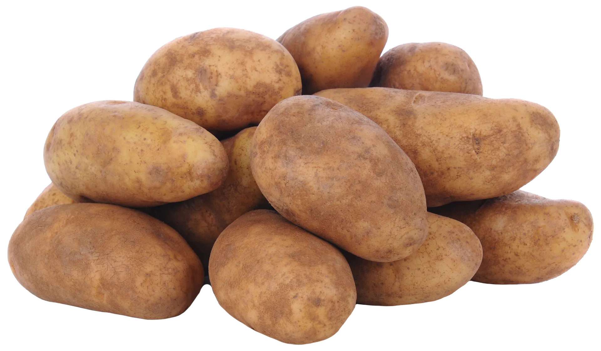 Photo de pommes de terre Russet.