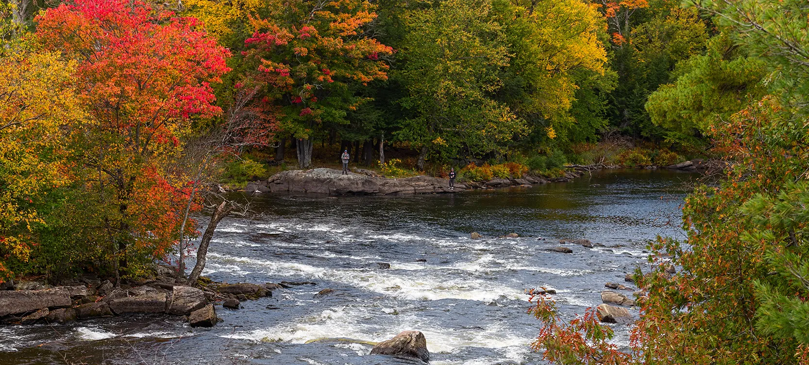 Photo d’une rivière en automne.