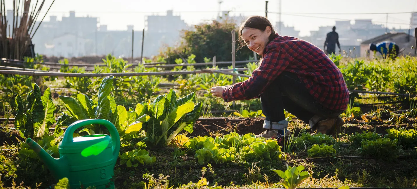 Photo d’une jeune femme autochtone faisant du jardinage dans un jardin communautaire.