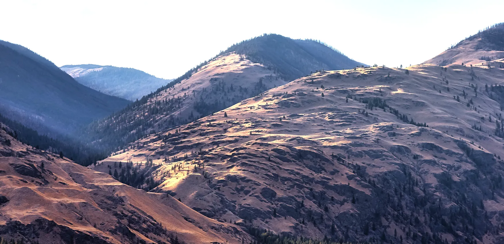Photo de la vallée de l’Okanagan dévoilant des collines couvertes d’herbes sèches et de roches.