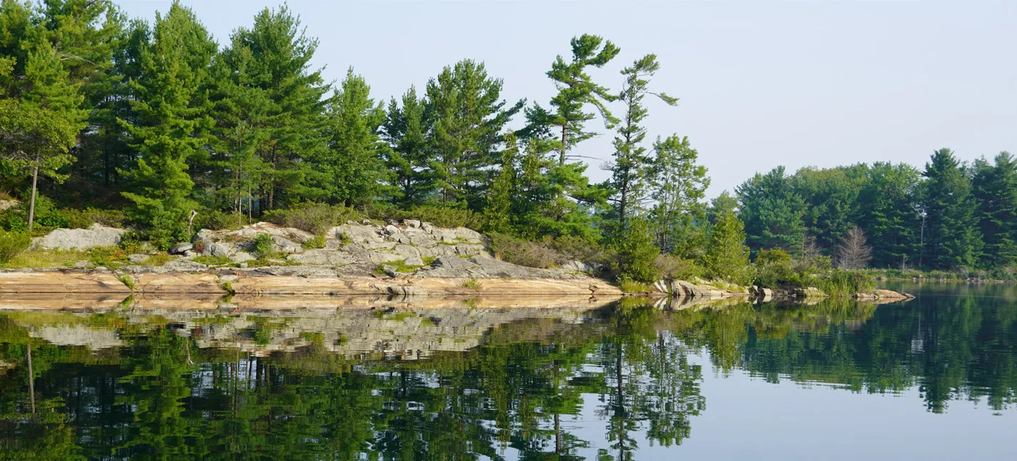 Photo d’une forêt au bord d’un lac.