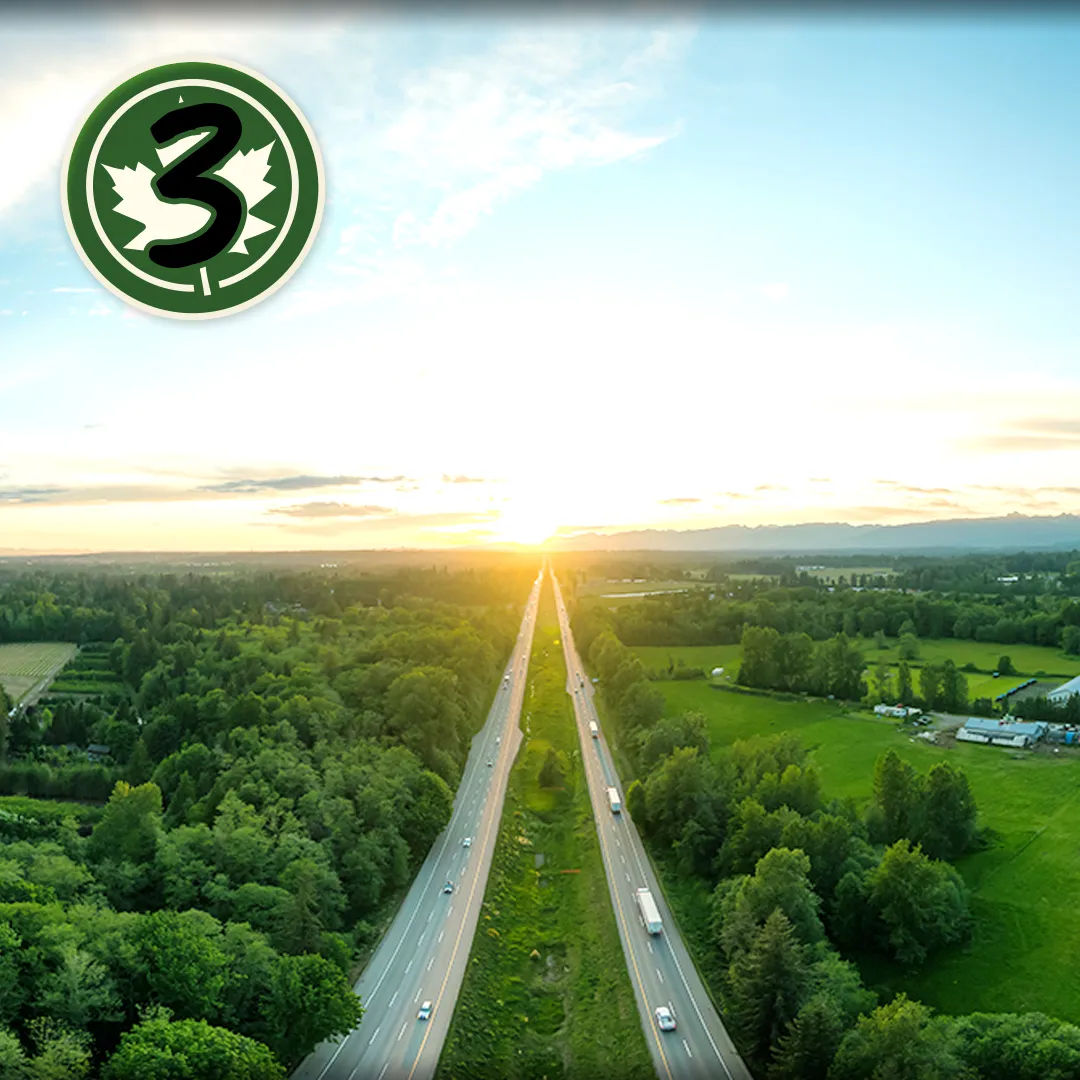 Photo d’une route en nature au lever du soleil. Cercle contenant le chiffre 3 et une feuille d’érable.