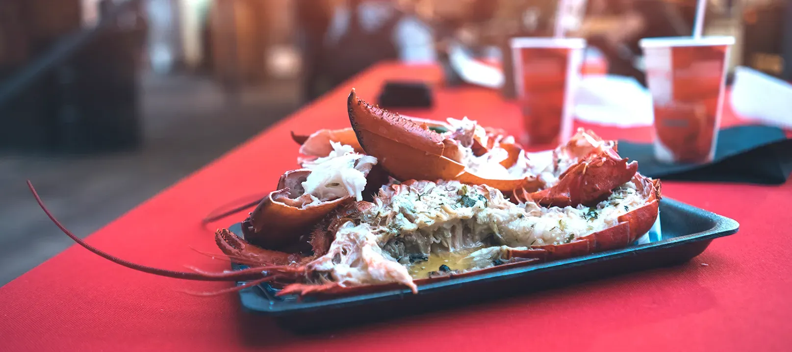 Photo d’une assiette de homard dans un festival.
